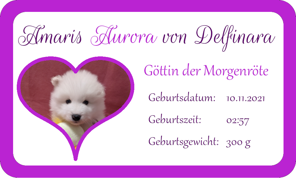 Aurora - jetzt Fiora